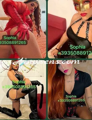 1 - Sophia Trans Varese - 3508891265
