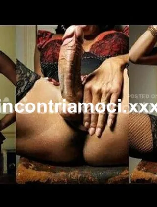 4 - Barbara Trans Prato - 3510135208