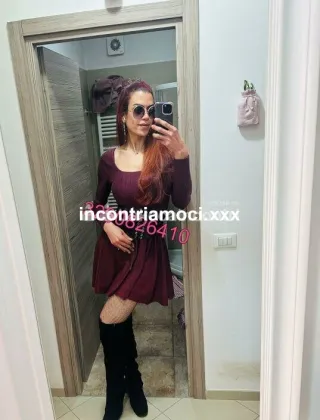 20 - New New Trans Biella - 3290826410