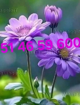 10 - Anna Escort Bologna - 3514659600