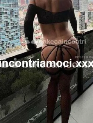 20 - Priscila Trans Verona - 3312326275
