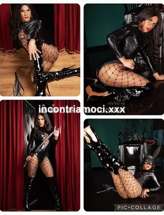 17 - Pamela Trans Imperia - 3509804403