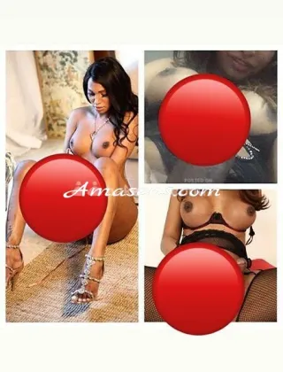 12 - Vanessa Trans Perugia - 3392880056