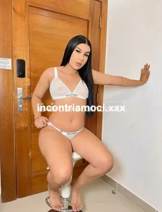 16 - Trans Trans Bari - 3932309086