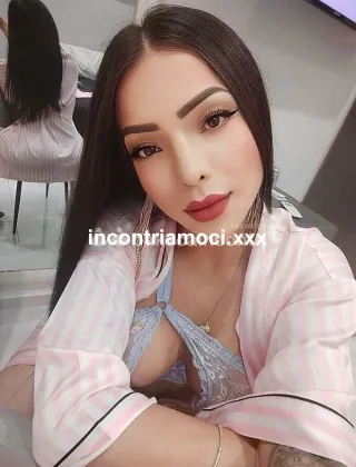 25 - Trans Latina - 3274932725