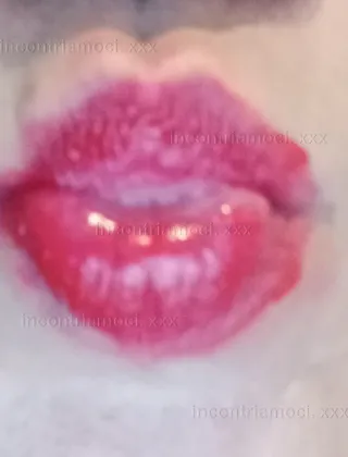 14 - Pamela Trans Monza e della Brianza - 3515404536