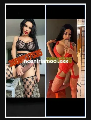 18 - Nina Trans Caserta - 3508617162