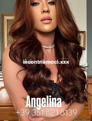 20 - Angelina Trans Parma - 3518218139