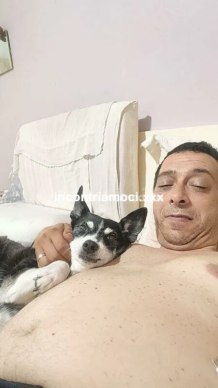 Bos