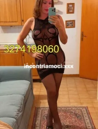 27 - New Trans Ancona - 3274198060