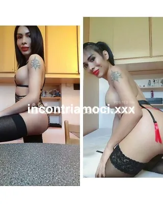 3 - Mariana Trans Rimini - 3292151691