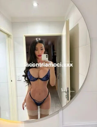 26 - Play Boy Trans Perugia - 3315824143