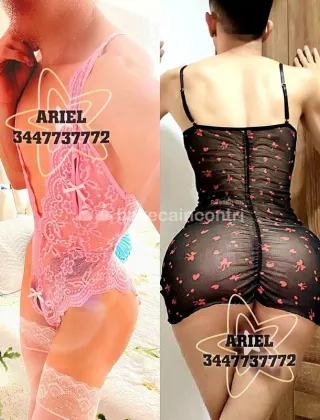 8 - Ariel Femboy Trans Roma - 3447737772