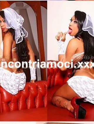 22 - Brenda Trans Perugia - 3509029993
