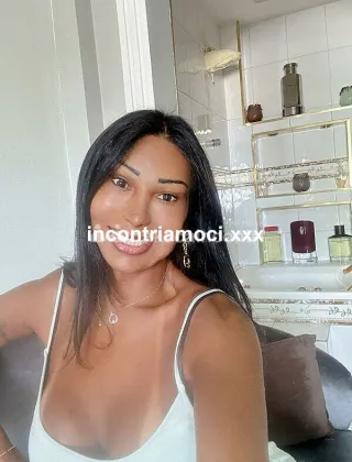 17 - Sheila Trans Brescia - 3392171031