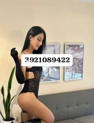 1 - Ambar Trans Udine - 3921089422