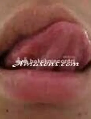29 - Anita Trans Latina - 3518934121