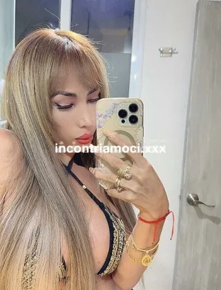 14 - Maciel S Trans Milano - 3933810400