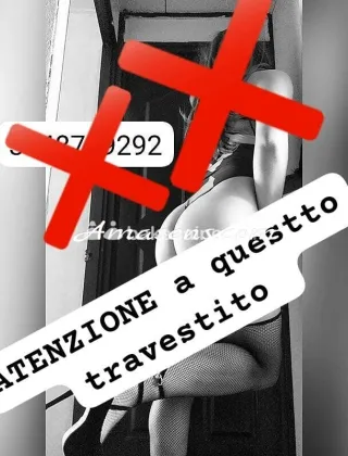 16 - Chanel Trans Ferrara - 3348739292