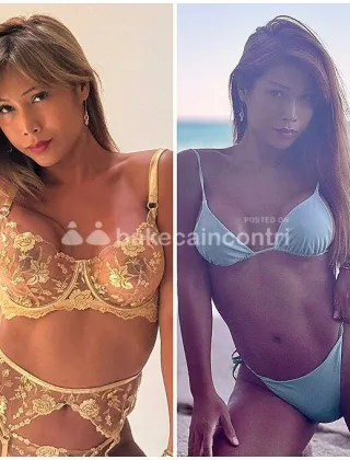 17 - Perla Trans Pordenone - 3489026722