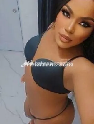 23 - Pafovatransxl Trans Padova - 3446938795