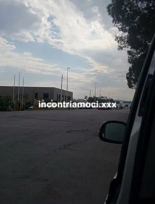 12 - Paola Trans Messina - 3293550120