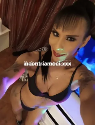 5 - Hade Trans Bologna - 3509617218