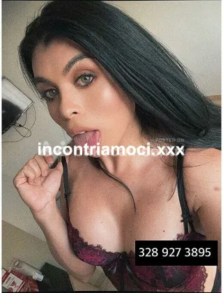 13 - Ramona Trans Lodi - 3289273895