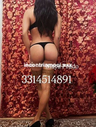 24 - Maya Trans Ancona - 3314514891