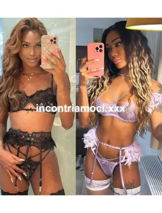 25 - Kelly Trans Varese - 3249081788