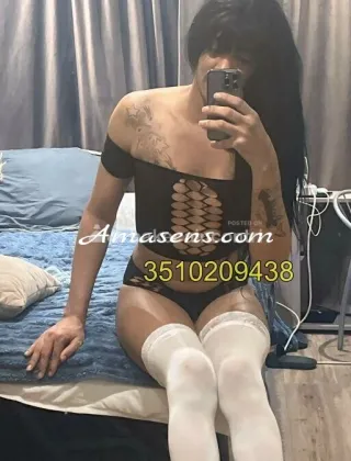 4 - Baneza Trans Trans Benevento - 3510209438