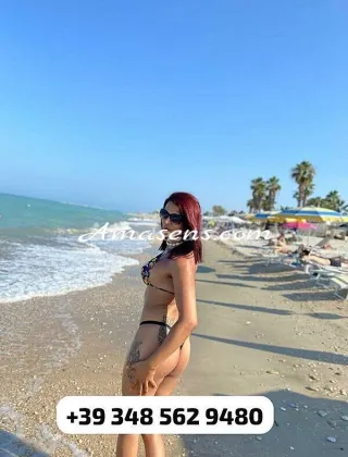 6 - Laura Trans Torino - 3485629480