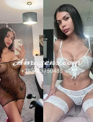 4 - Sirena Trans Mantova - 3483750488