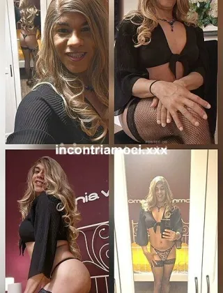 19 - Fina Trans Arezzo - 3342706317