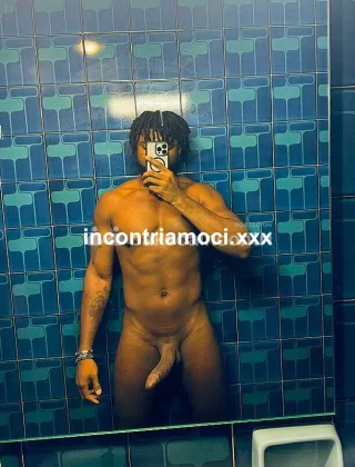 19 - Stallone Africano Coppie Napoli - 3509113369