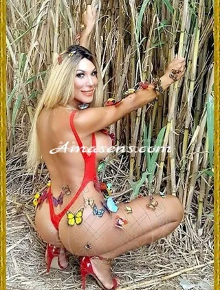 8 - Gisela Trans Rimini - 3518387523