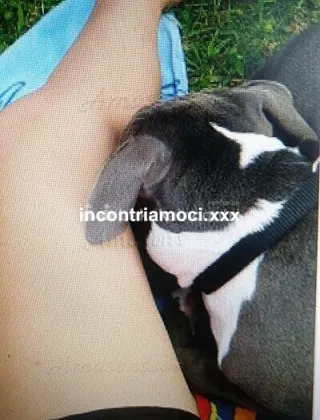 8 - Signora Escort Padova - 3470187037