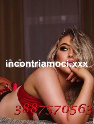 9 - New Escort Terni - 3887570563