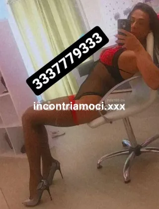 30 - Top Trans Trans Valle d'aosta - 3337779333
