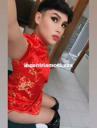 19 - Femboy Latina Trans Latina - 3809063793