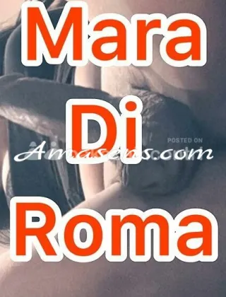 2 - Mara Trans Bari - 3200534178
