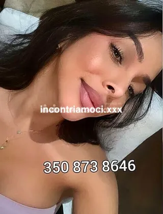 3 - Maila Trans Benevento - 3508738646
