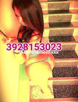 26 - Catalina Trans Belluno - 3928153023