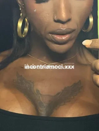 19 - Eva Trans Roma - 3937965485