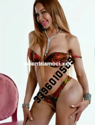 11 - Vanessa Trans Milano - 3396010585
