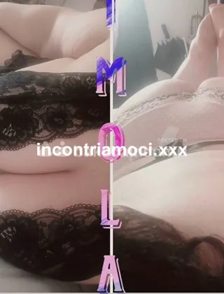 3717387084 - Vogliosetta Curvy 41 Escort Bologna