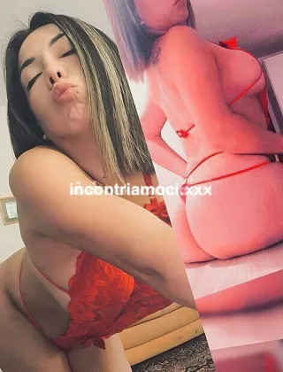 12 - Brenda Trans Monza e della Brianza - 3209331854