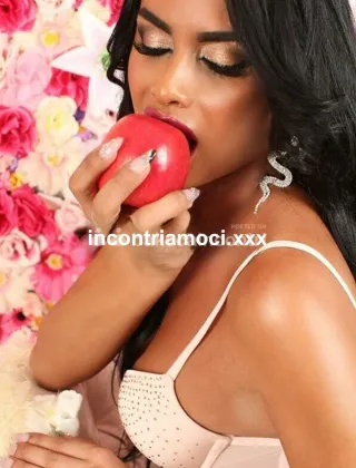 22 - Diana Trans Cosenza - 3460445431
