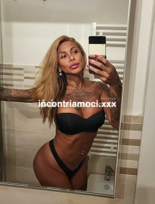 1 - La Toledo Trans Bologna - 3338568852