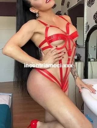3 - Tabatha Trans Como - 3202204645